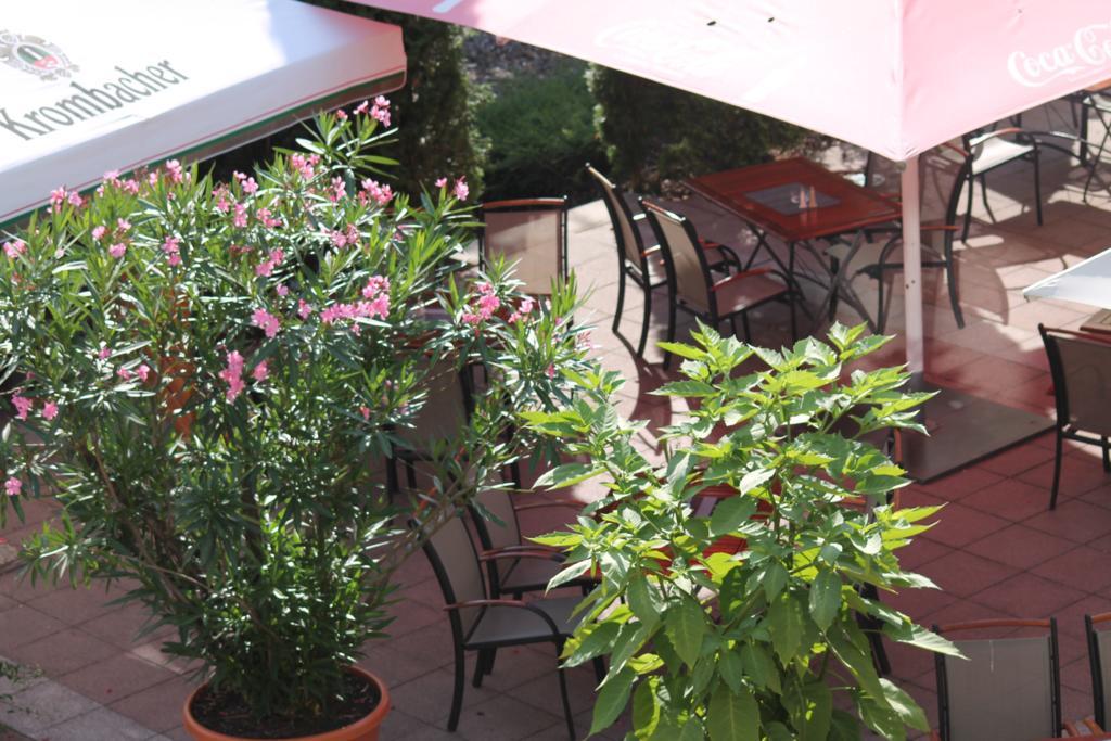 Parkhotel Altes Kaffeehaus Wolfenbüttel Eksteriør billede